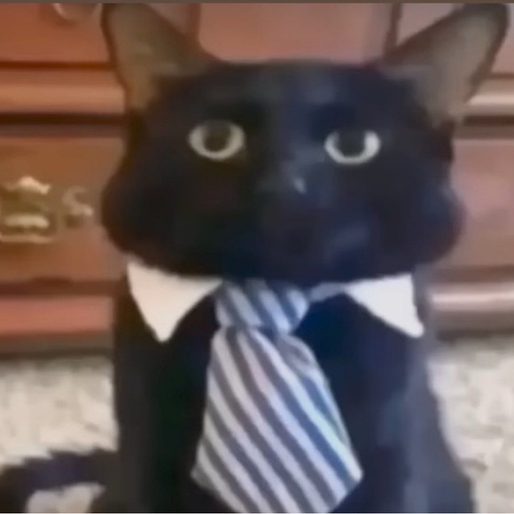 Meet your Posher, Alivia - Picture 1 of 1